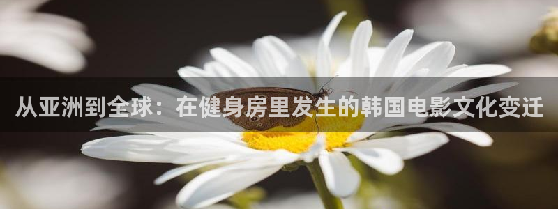 龙8国际官网进入