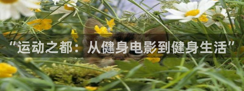 龙8国际官网版最新版下载