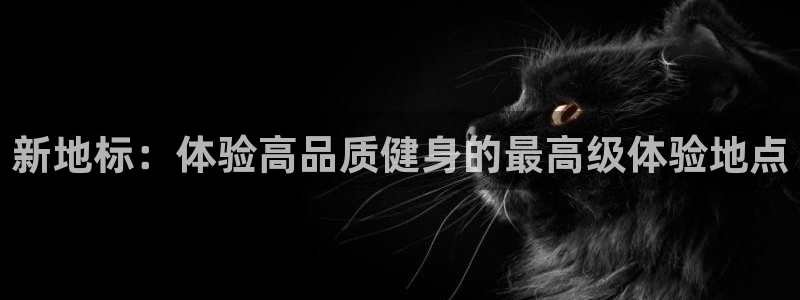 龙8国际pt网址官方