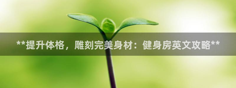 国际龙8官网pt客户端下载