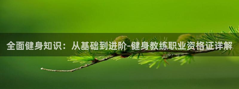 龙八国际娱乐老板是谁