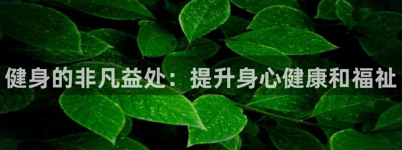 龙8国际龙8官方