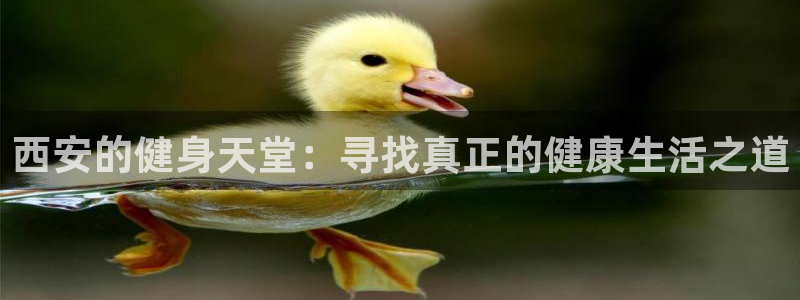 龙8国际官方平台