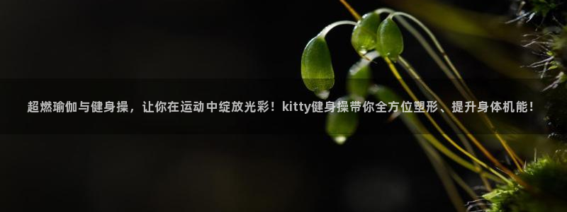 龙8国际官网唯一入口