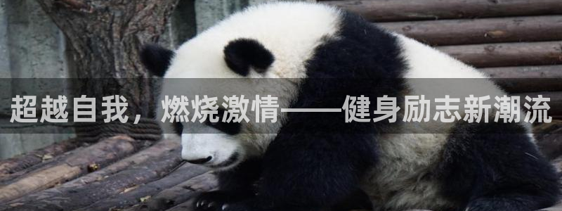 龙八国际2018最新官网