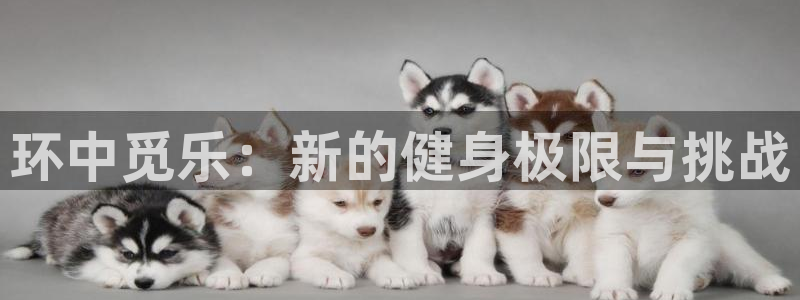 龙8国际官网注册