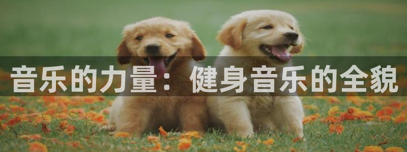 龙8官网手机版国际网页登录