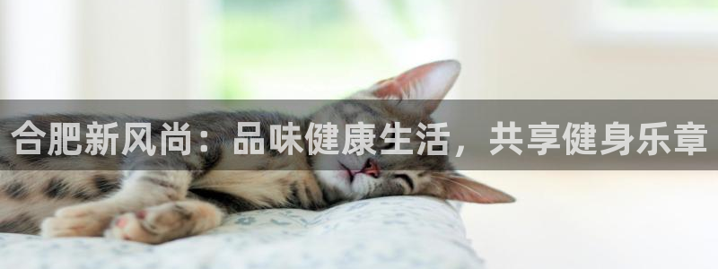 龙8国际是不是黑网