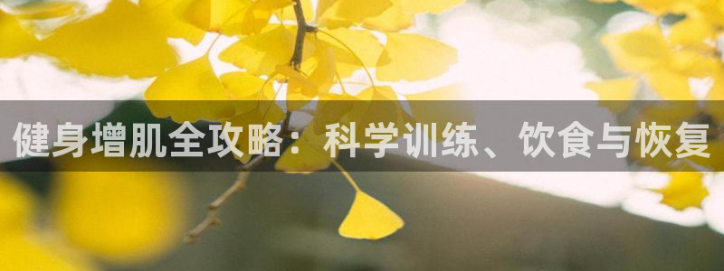 龙8国际安卓版版