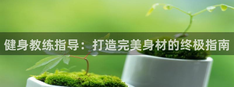 龙8国际电子平台