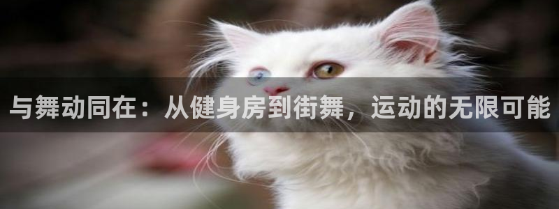 龙8国际手机游戏官网下载