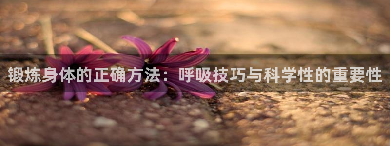 龙8国际网页登录