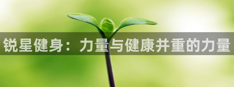 龙8国际官网注册