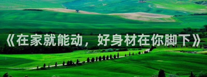 龙8国际头号玩家