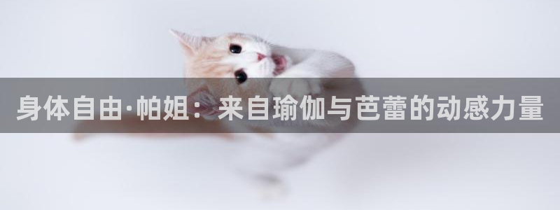 龙8国际手机网页版