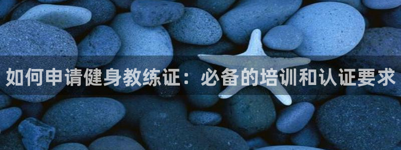 龙8国际官网登录口