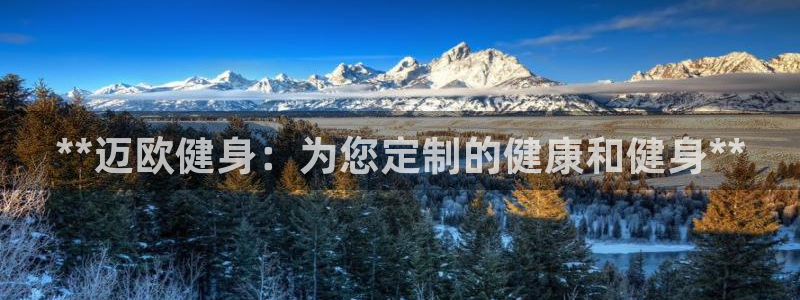 龙8国际2023官方版fxzls安卓-1.2.9 -安卓