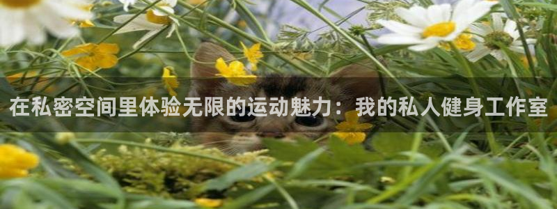 龙8国际平台登录