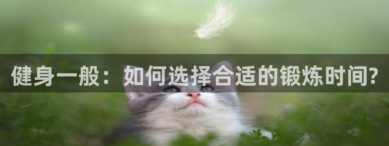 龙8国际网站怎么样