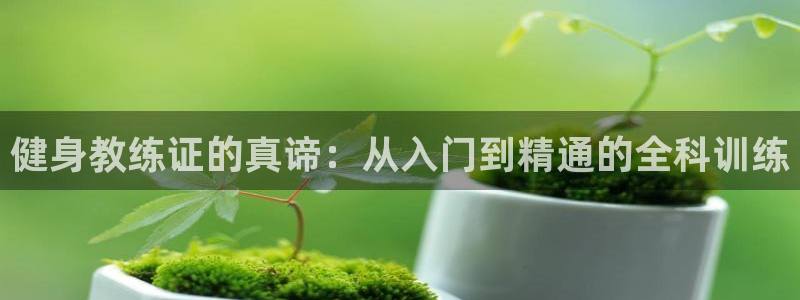 龙8国际手机网页版