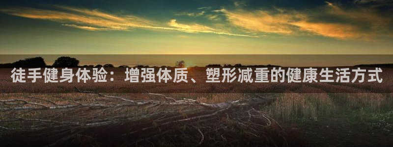 龙八国际登录