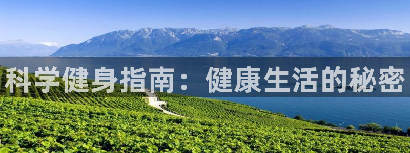 龙8国际pt