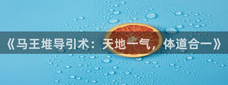 龙8国际官网版