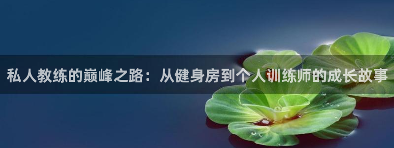 龙8国际网站是多少