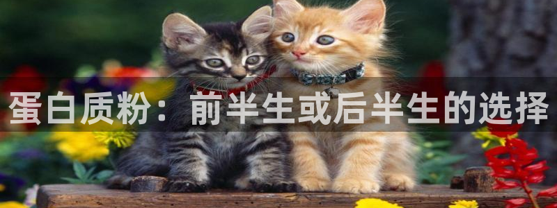 龙8国际官网 点此进入游戏