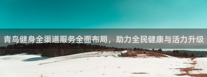 龙八国际娱