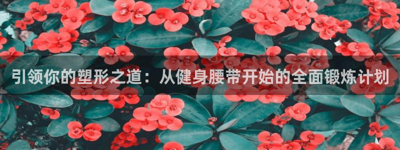 龙八国际手机在线登录