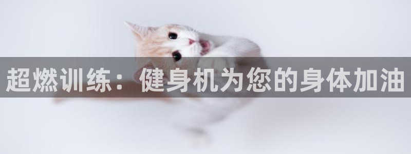 龙8国际2021年4.15更新版baoli