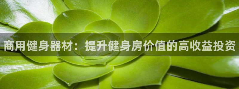 龙八国际pt