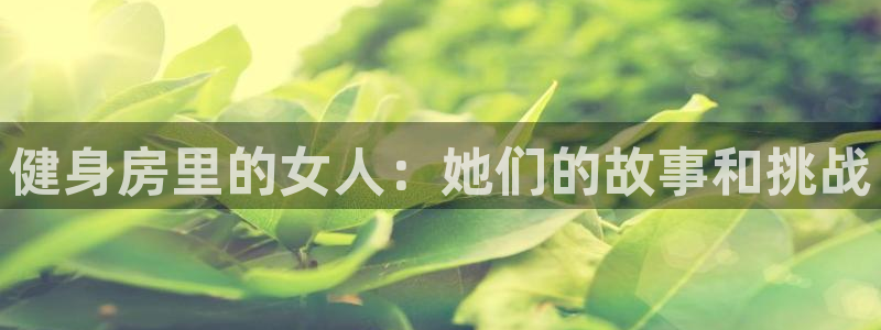 龙8国际官网进入